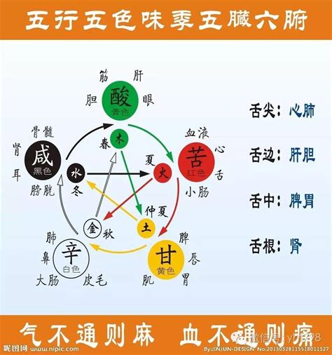 数字对应五行|五行与数字、颜色，及身体的对应关系